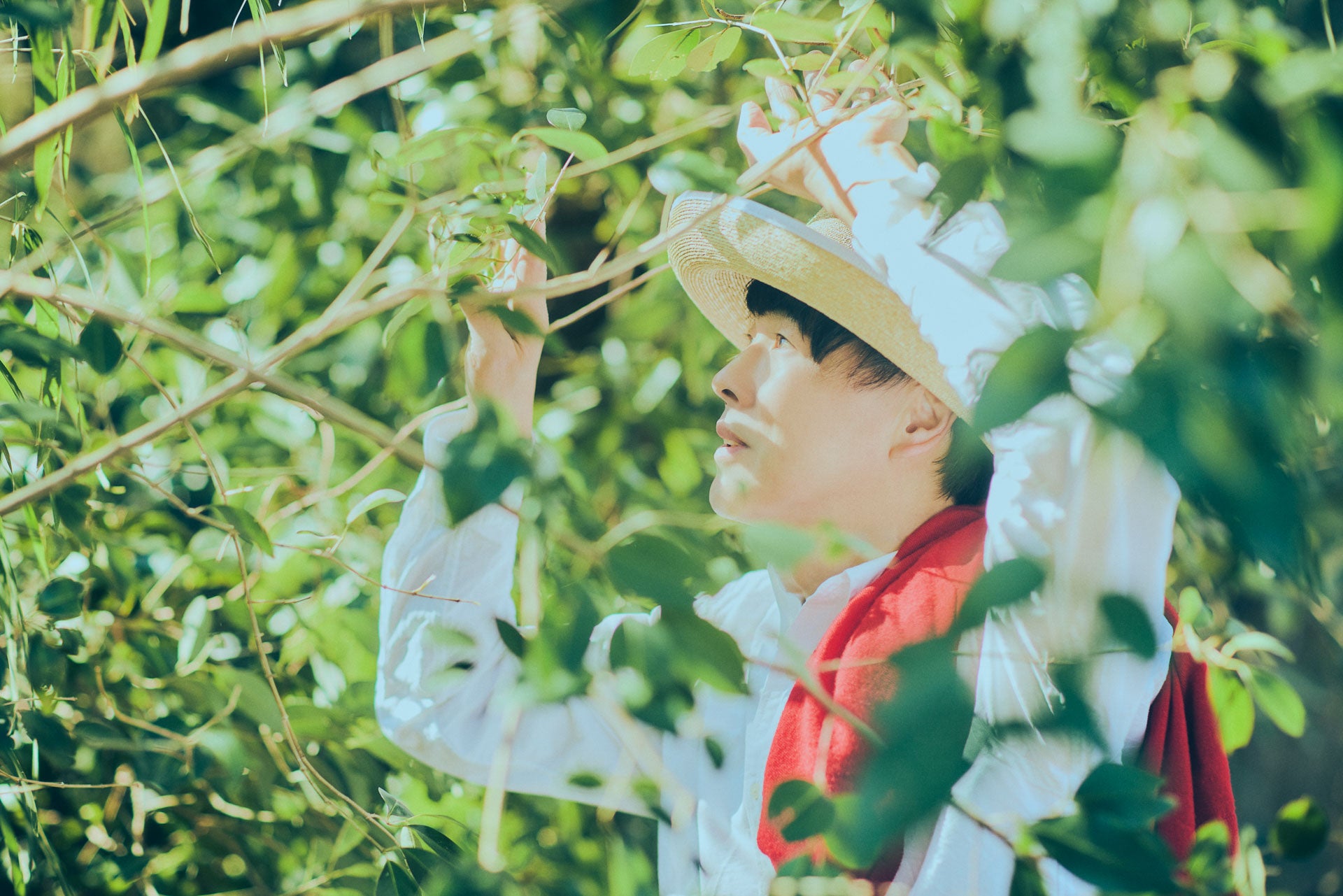 ポークパイセーラーHAT2